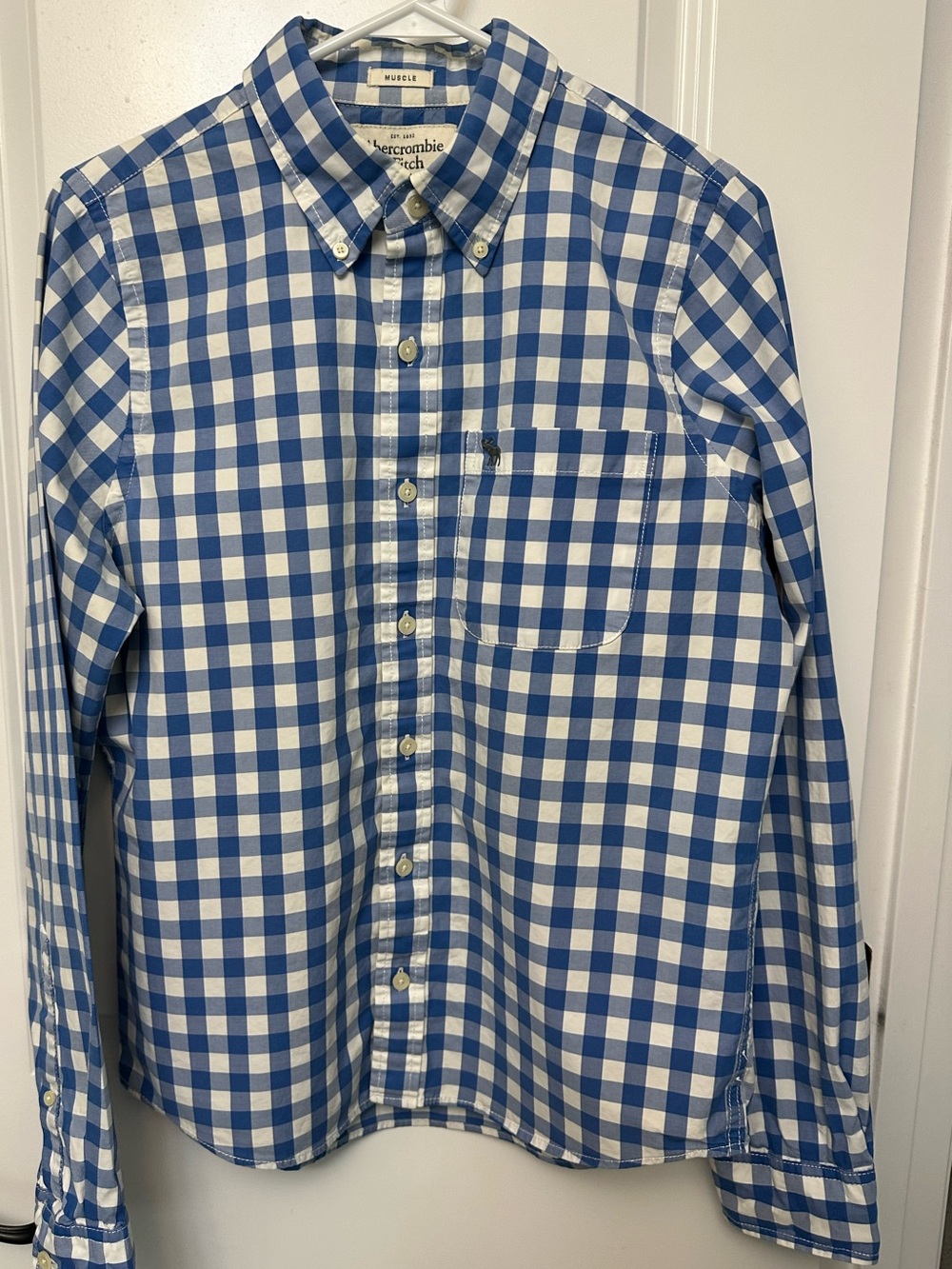 Abercrombie & Fitch Men's Muscle Fit Gingham Button Down Shirt M Blue White